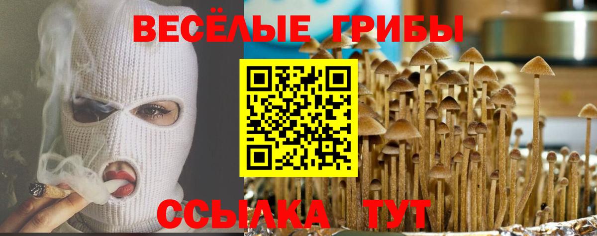 Галлюциногенные грибы MAGIC MUSHROOMS  где продают   Минеральные Воды  Вход с VPN 